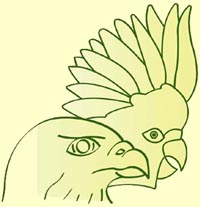 Logo Vogeltierarzt Wahlstedt